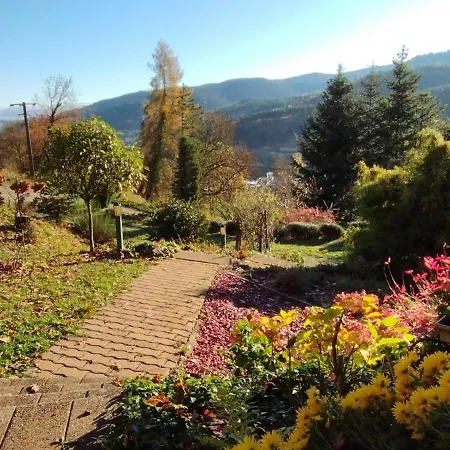 Au Bois Des Ecureuils Classe Trois Etoiles. Chalet